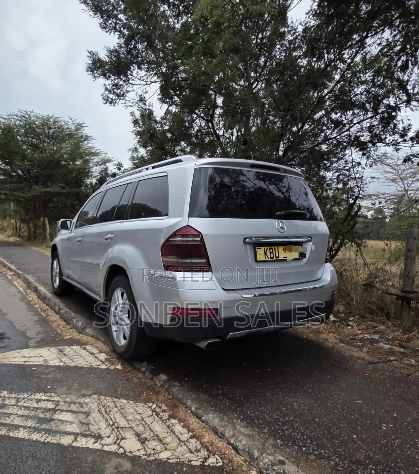 Mercedes-Benz GL-Class GL 320 BlueTEC 2009 Silver