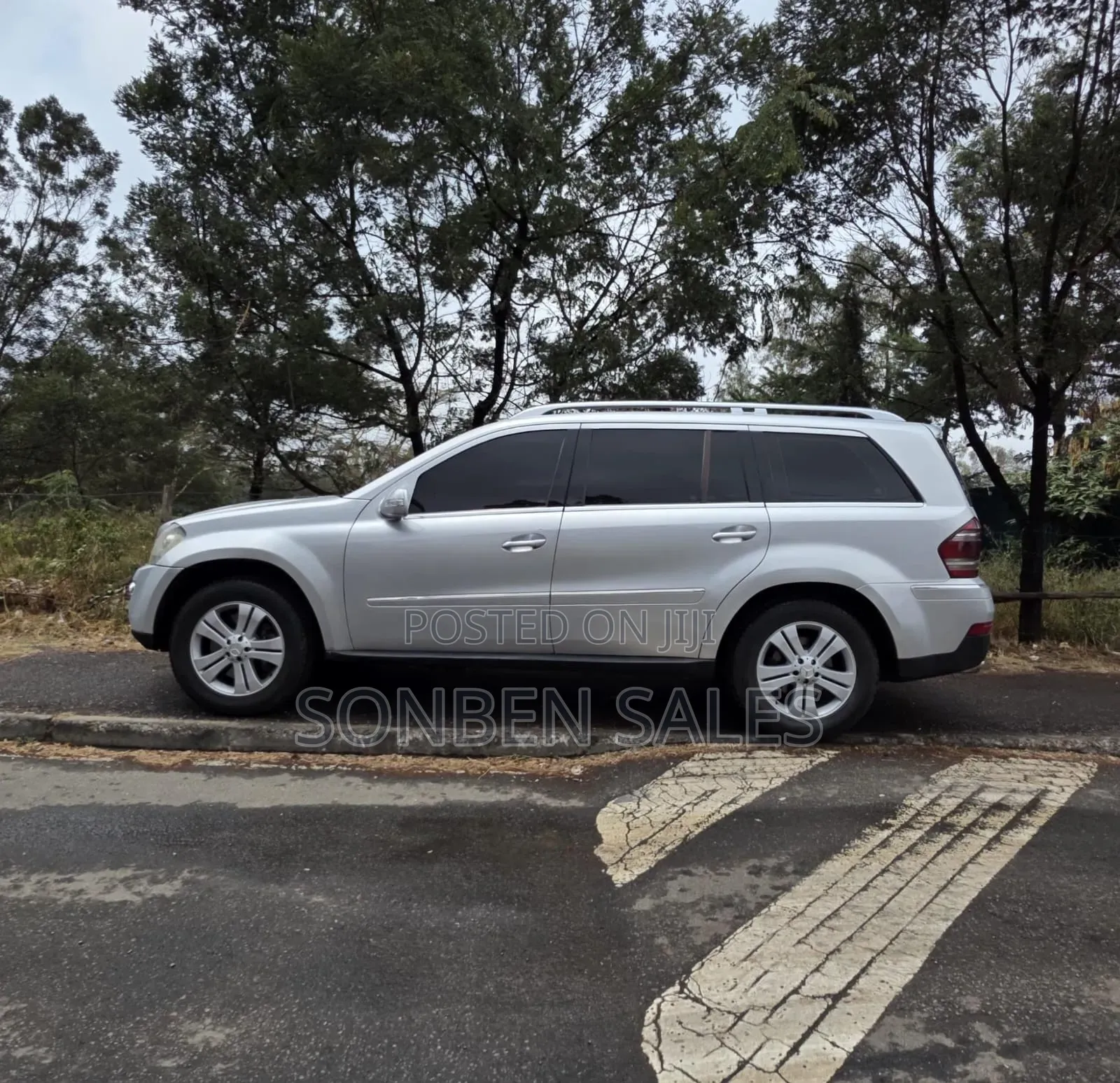 Mercedes-Benz GL-Class GL 320 BlueTEC 2009 Silver