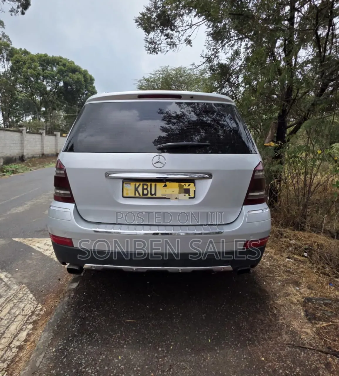 Mercedes-Benz GL-Class GL 320 BlueTEC 2009 Silver