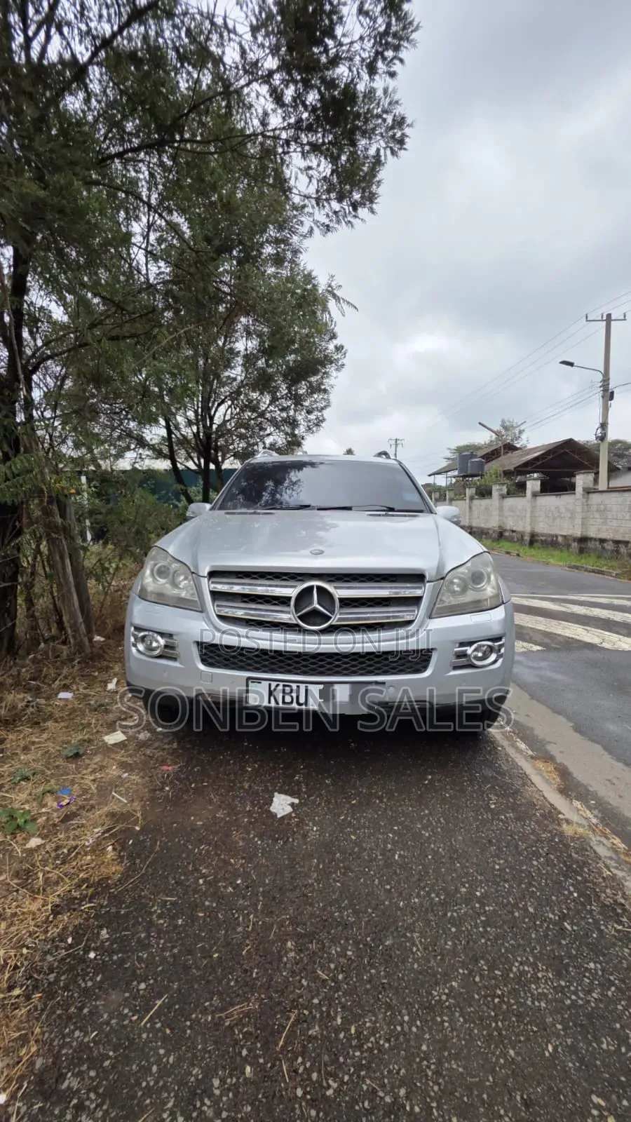 Mercedes-Benz GL-Class GL 320 BlueTEC 2009 Silver