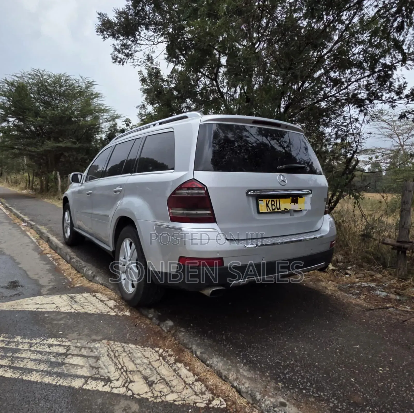 Mercedes-Benz GL-Class GL 320 BlueTEC 2009 Silver