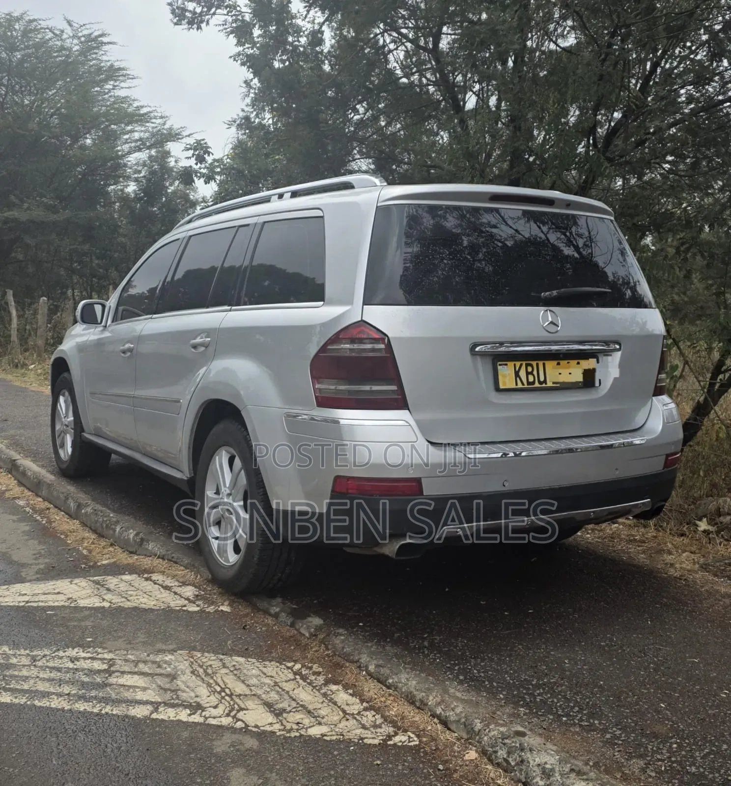 Mercedes-Benz GL-Class GL 320 BlueTEC 2009 Silver