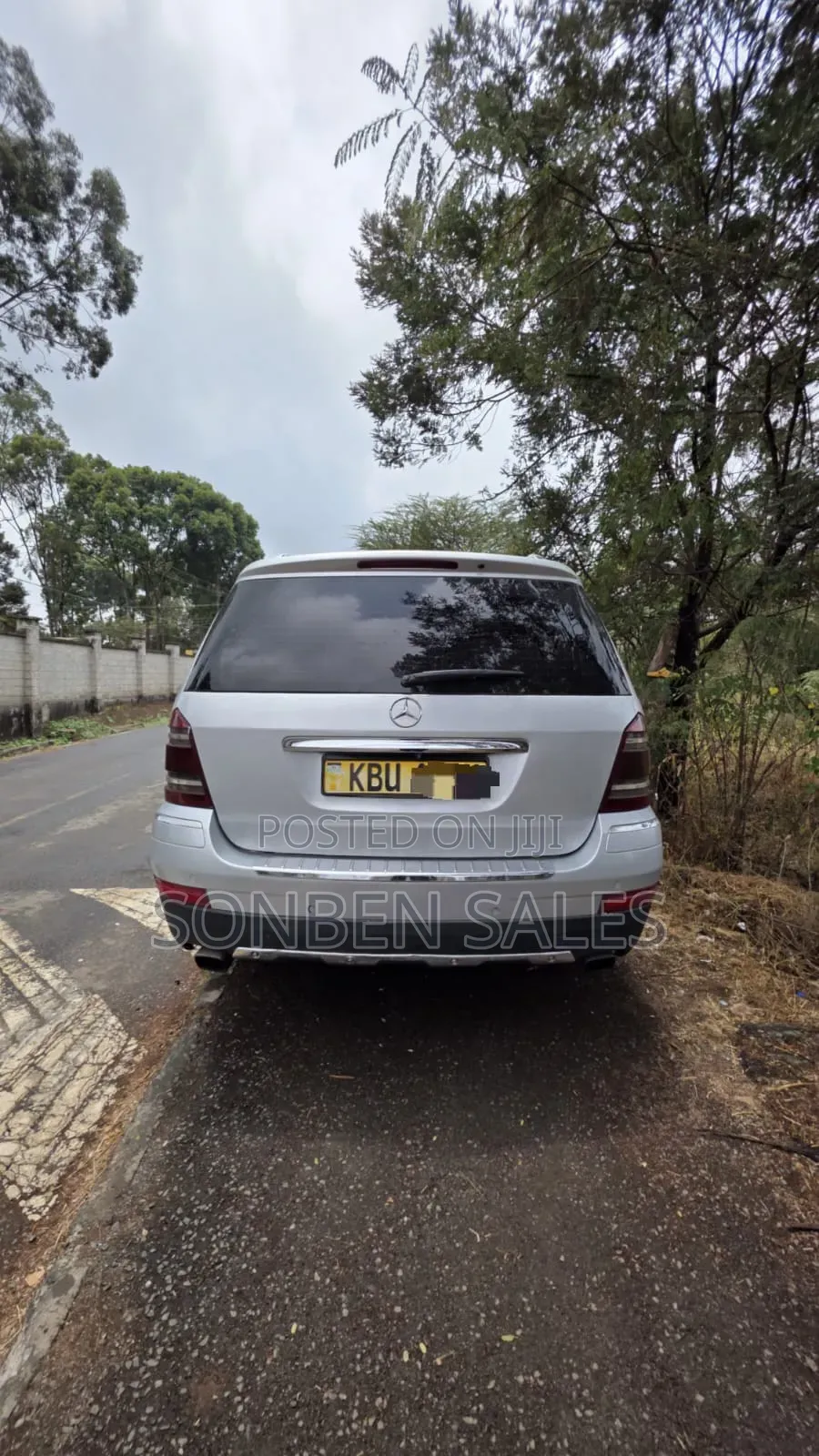 Mercedes-Benz GL-Class GL 320 BlueTEC 2009 Silver