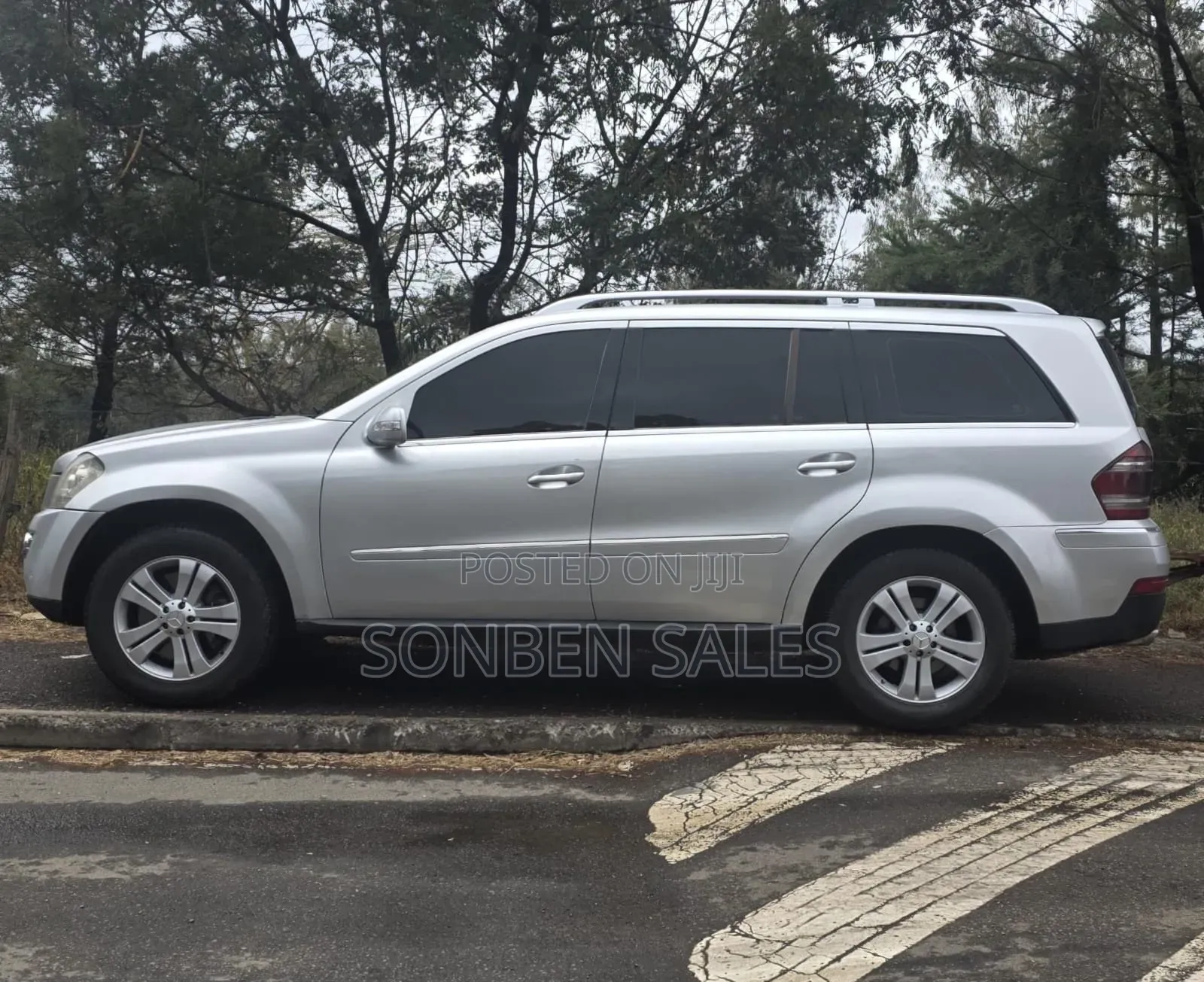 Mercedes-Benz GL-Class GL 320 BlueTEC 2009 Silver