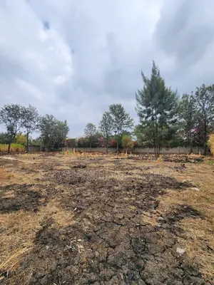 Plot for Sale