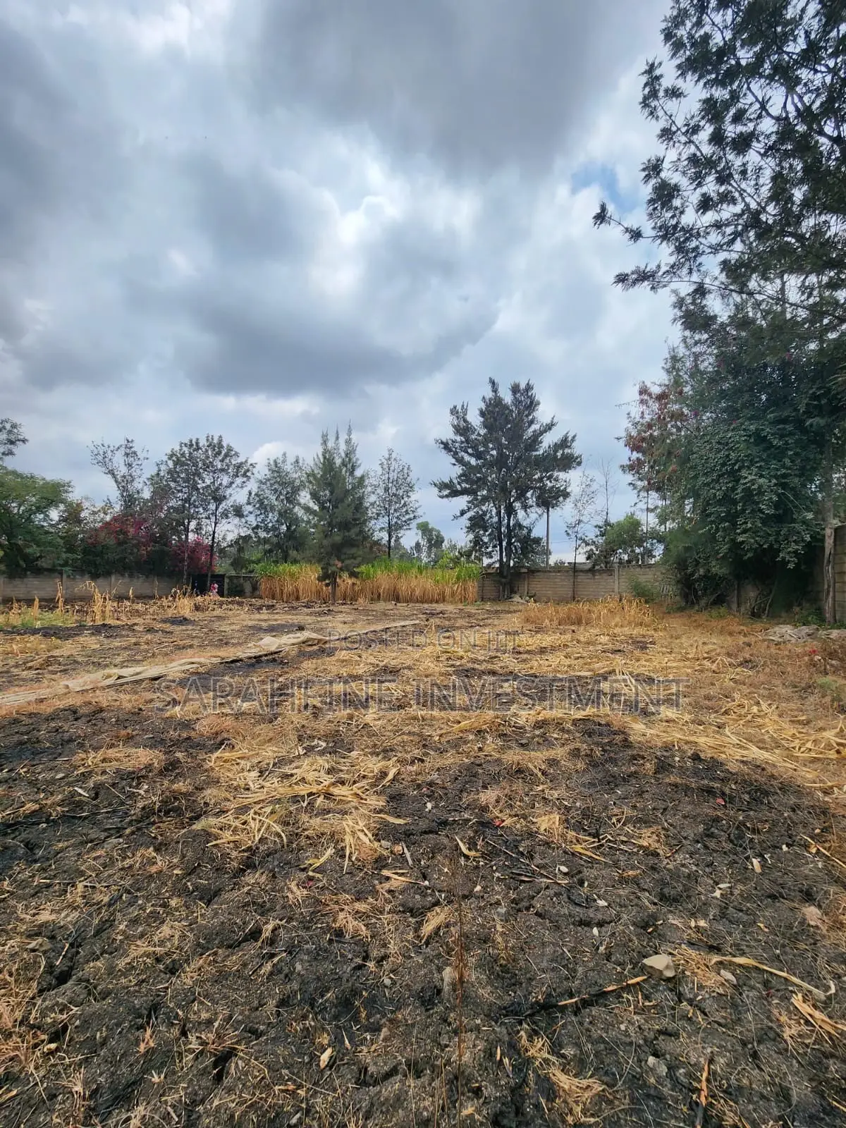 Plot for Sale