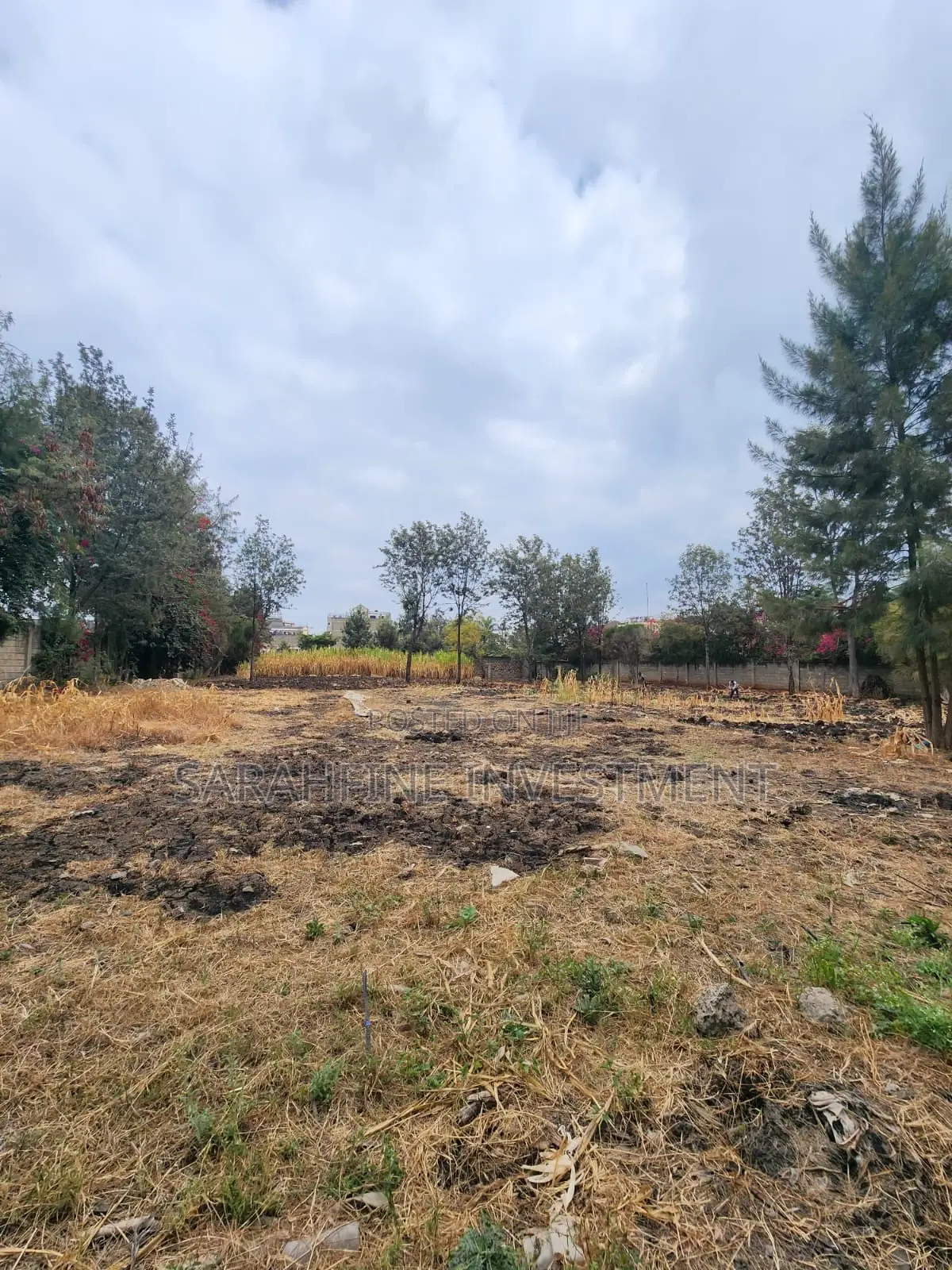 Plot for Sale