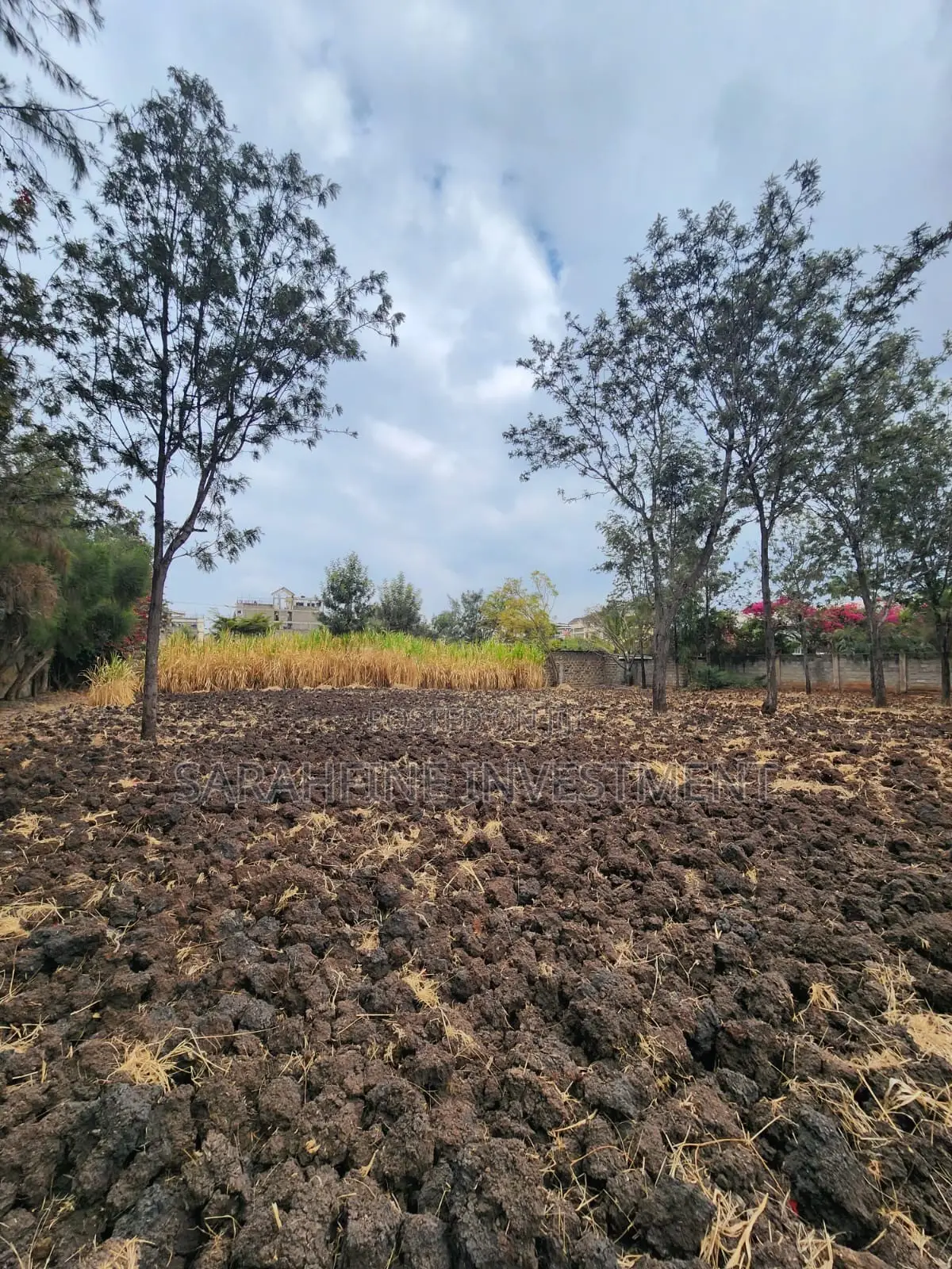 Plot for Sale