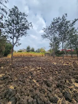 Plot for Sale