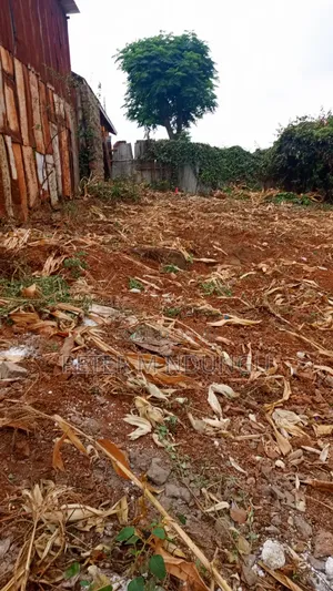 Marurui- Northern Bypass, Commercial Plot 40*80ft for Highrise