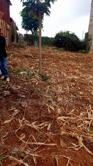 Marurui- Northern Bypass, Commercial Plot 40*80ft for Highrise
