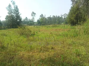 0.18h in Kisumu Karateng 100m From the Tamarc Road