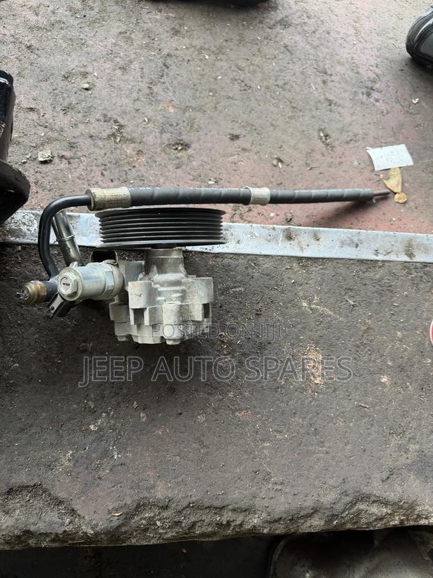 Cartilage /Power Steering Pump 1GD
