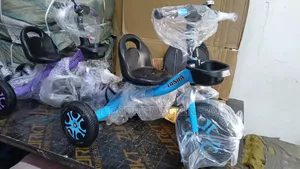Tanda Kids Tricycle /Baby Trikes