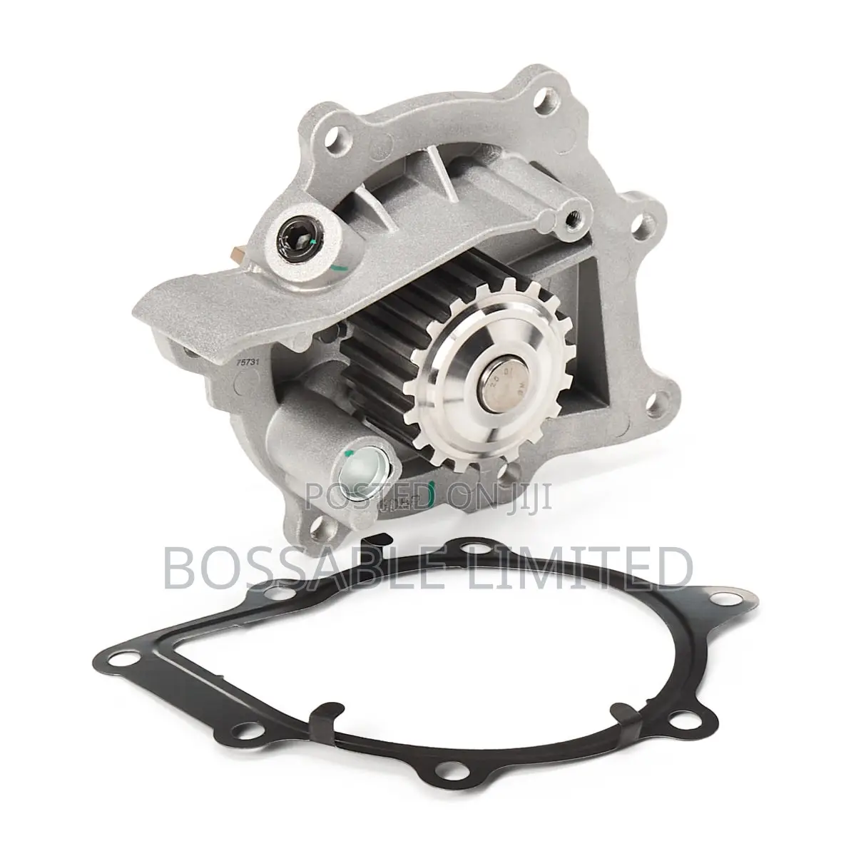 Water Pump Lr011694