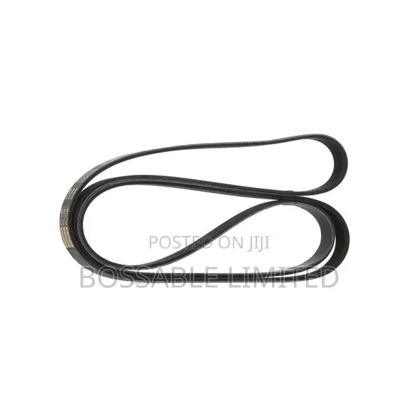 Serpentine Belt LR013697