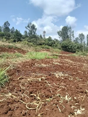 3 Acres on Sale at Murang'a -Sabasaba