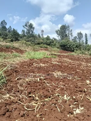 3 Acres on Sale at Murang'a -Sabasaba