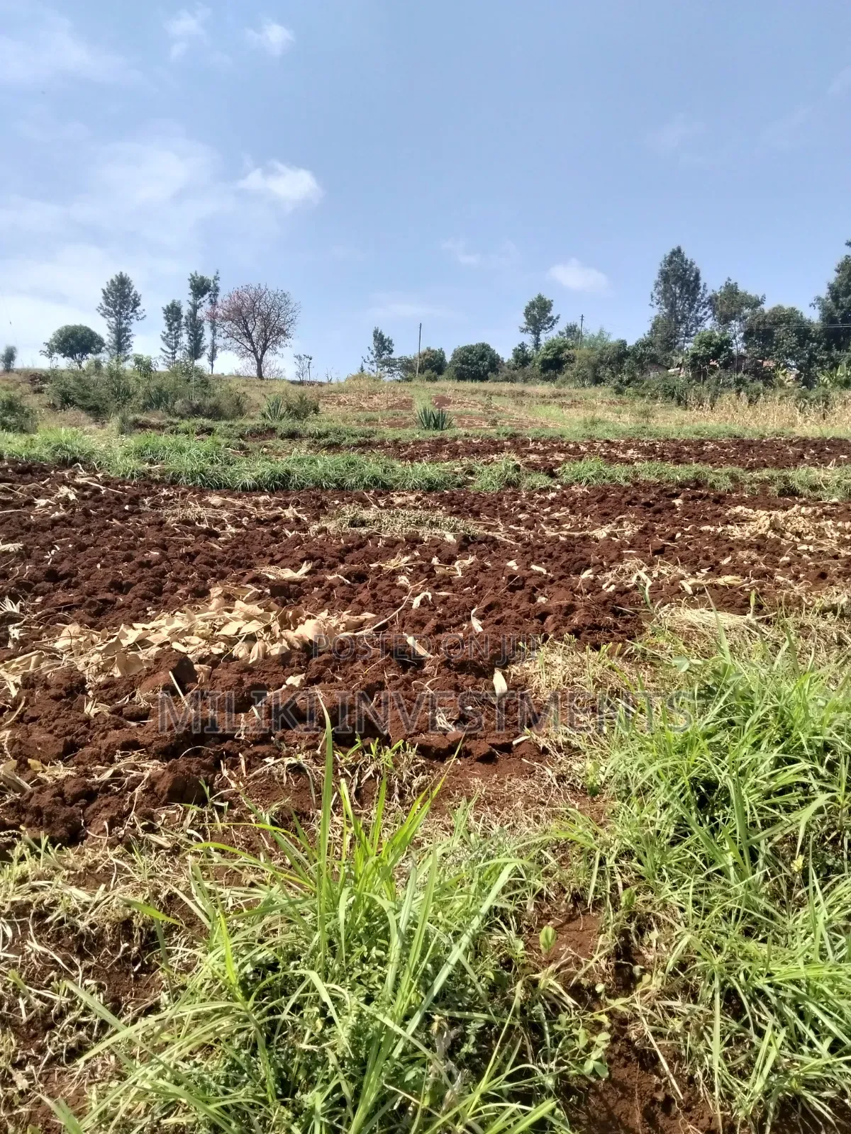 3 Acres on Sale at Murang'a -Sabasaba