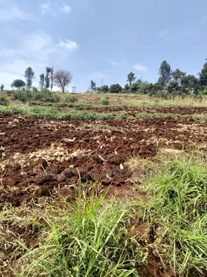 3 Acres on Sale at Murang'a -Sabasaba