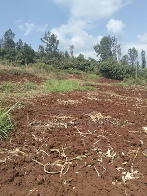 3 Acres on Sale at Murang'a -Sabasaba