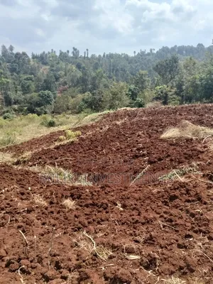 3 Acres on Sale at Murang'a -Sabasaba