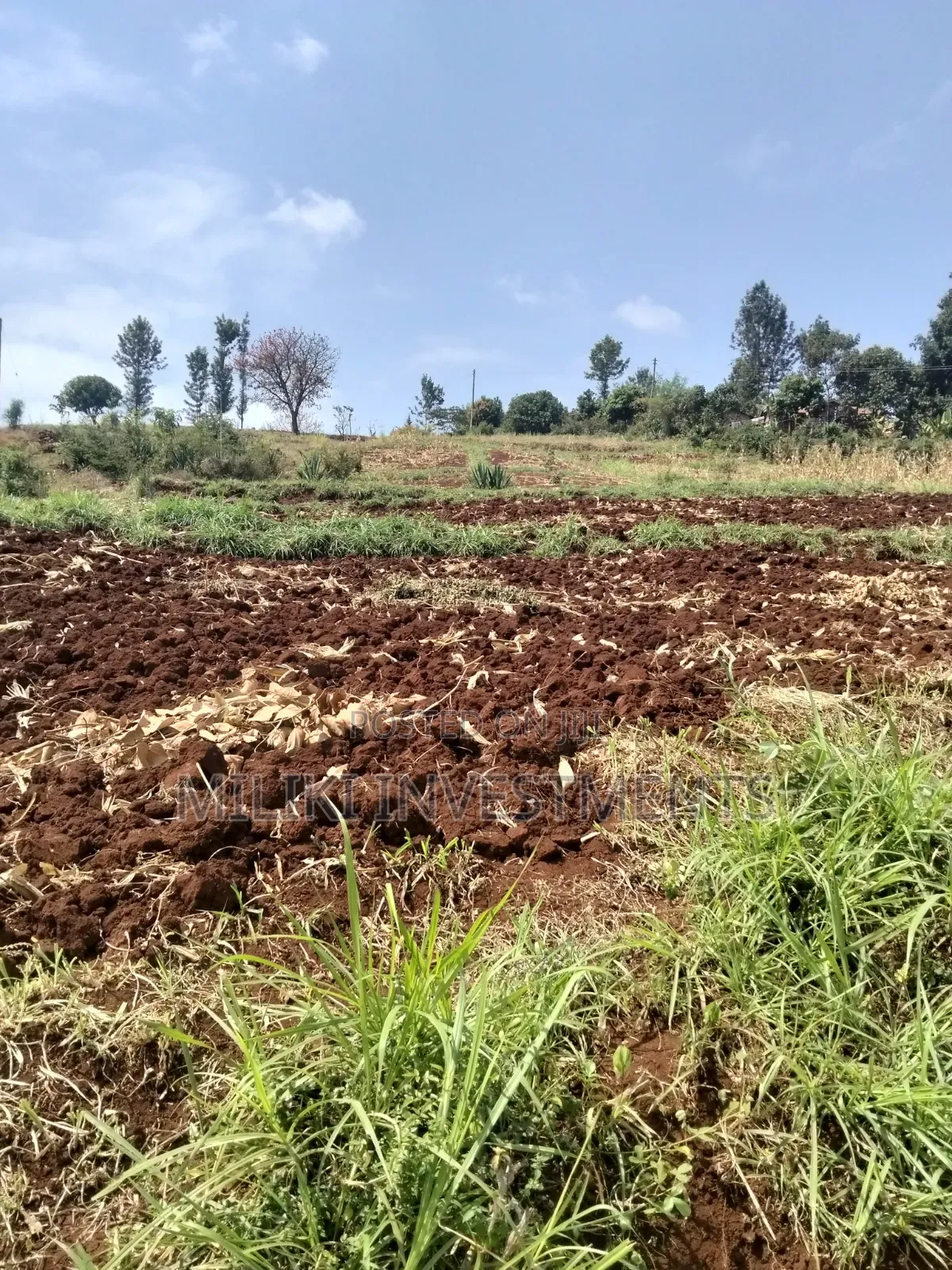 3 Acres on Sale at Murang'a -Sabasaba