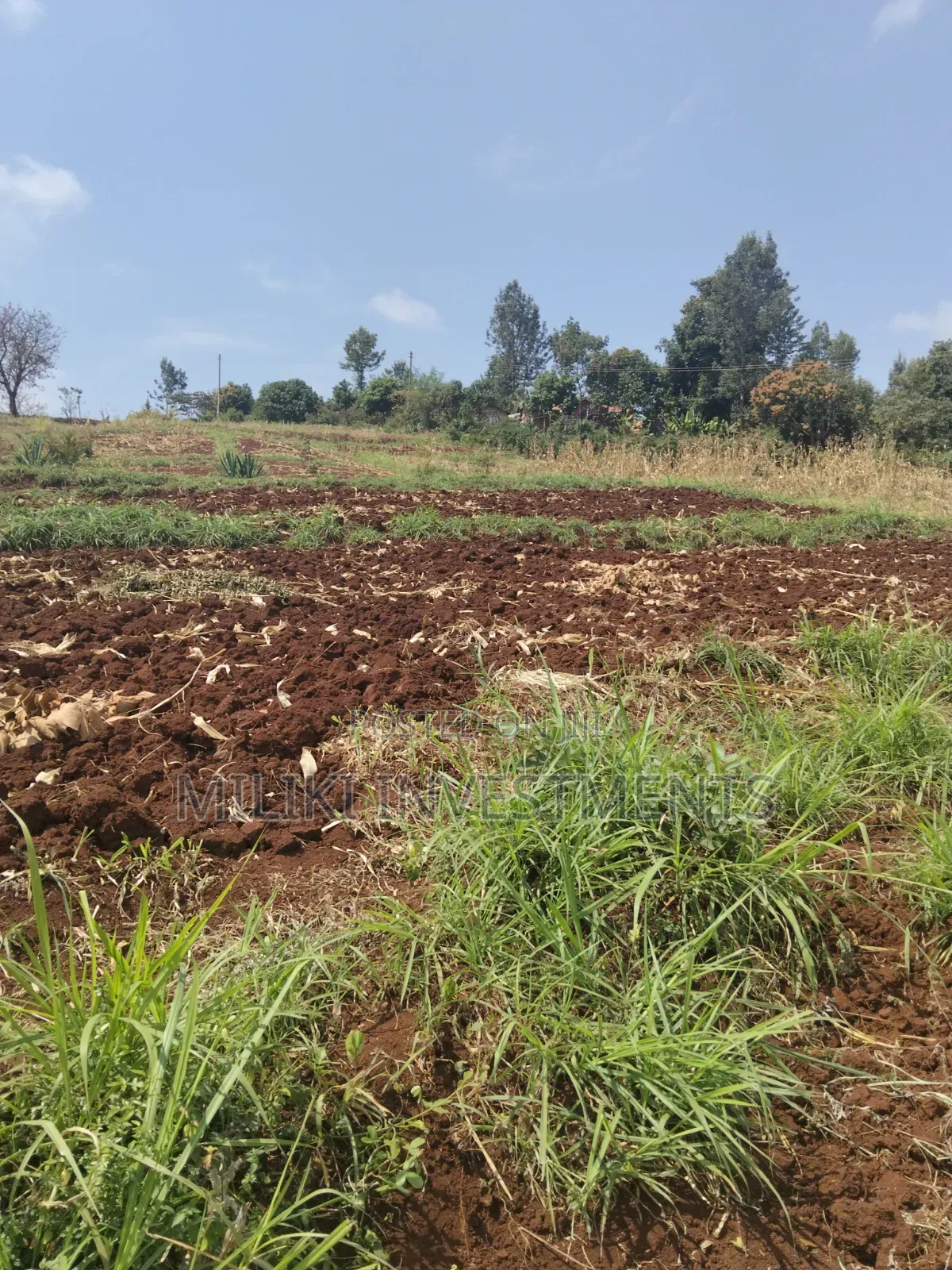 3 Acres on Sale at Murang'a -Sabasaba