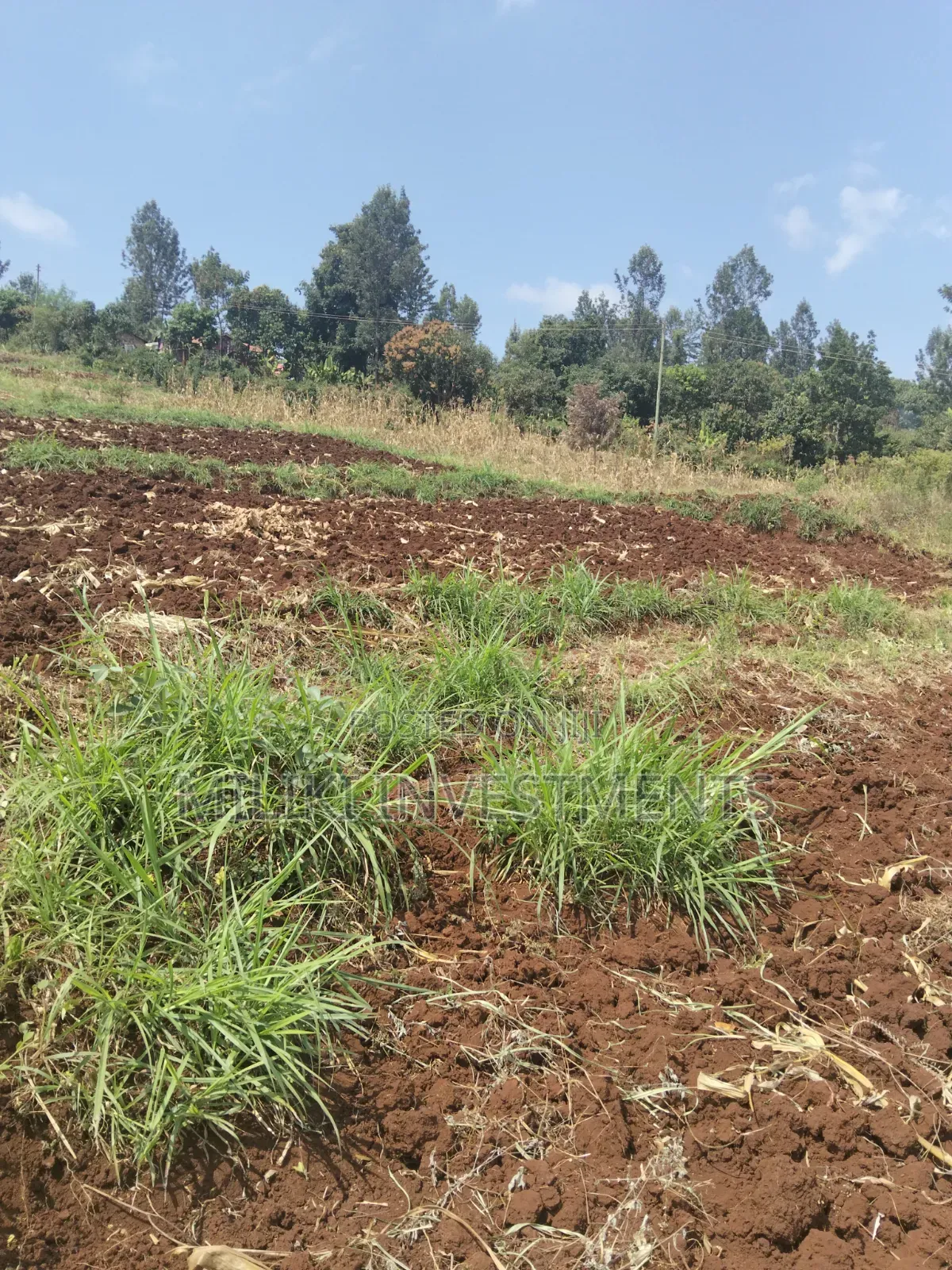 3 Acres on Sale at Murang'a -Sabasaba
