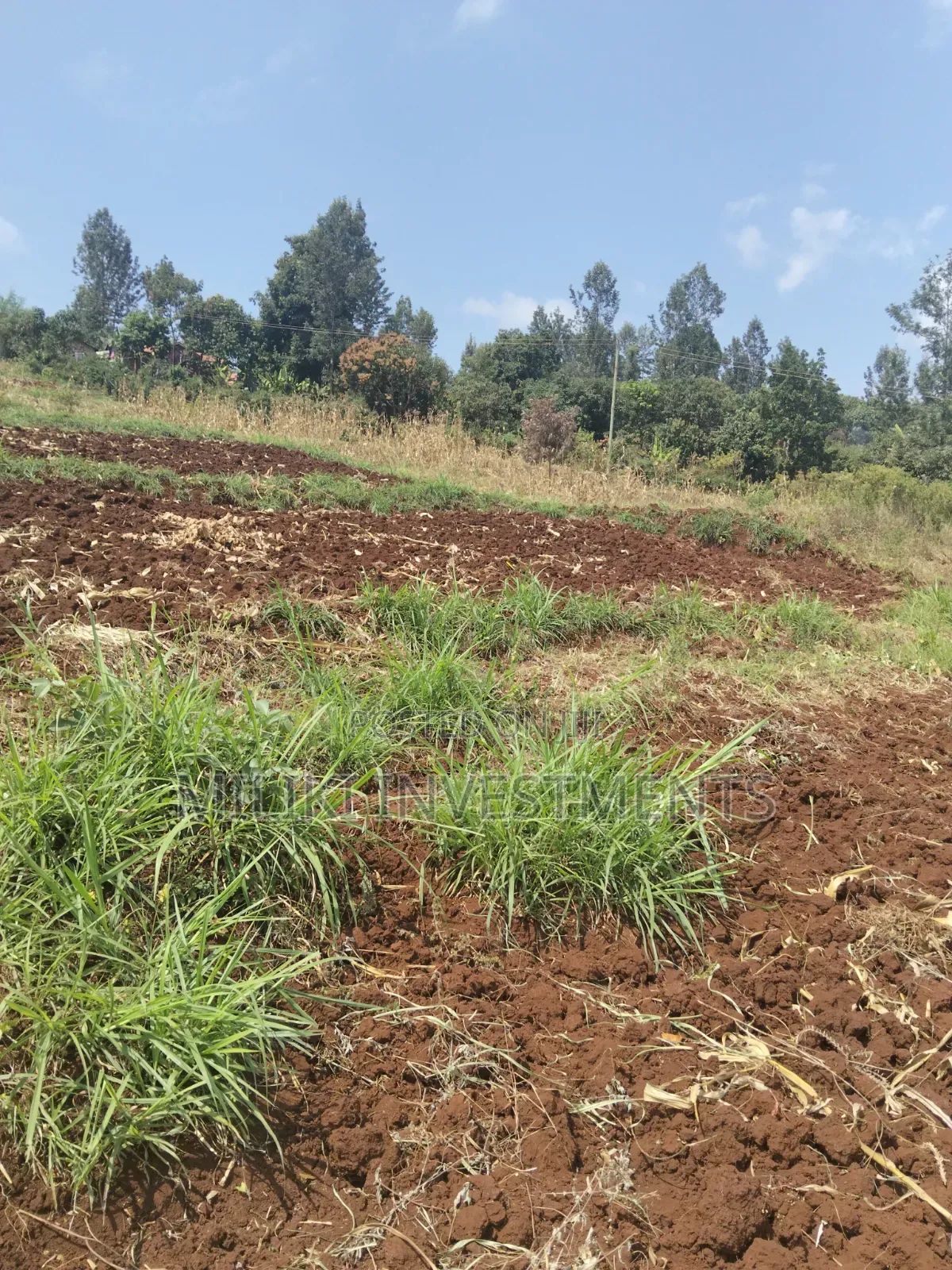 3 Acres on Sale at Murang'a -Sabasaba