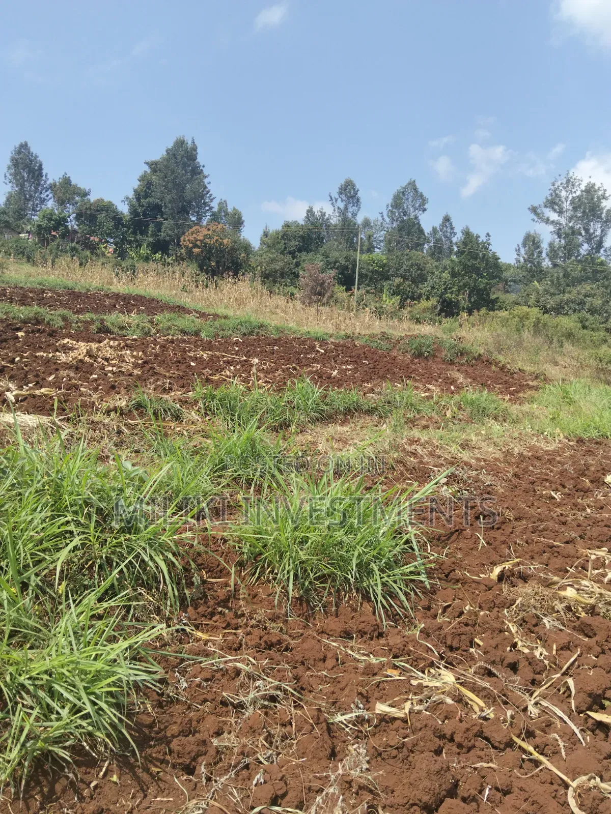 3 Acres on Sale at Murang'a -Sabasaba