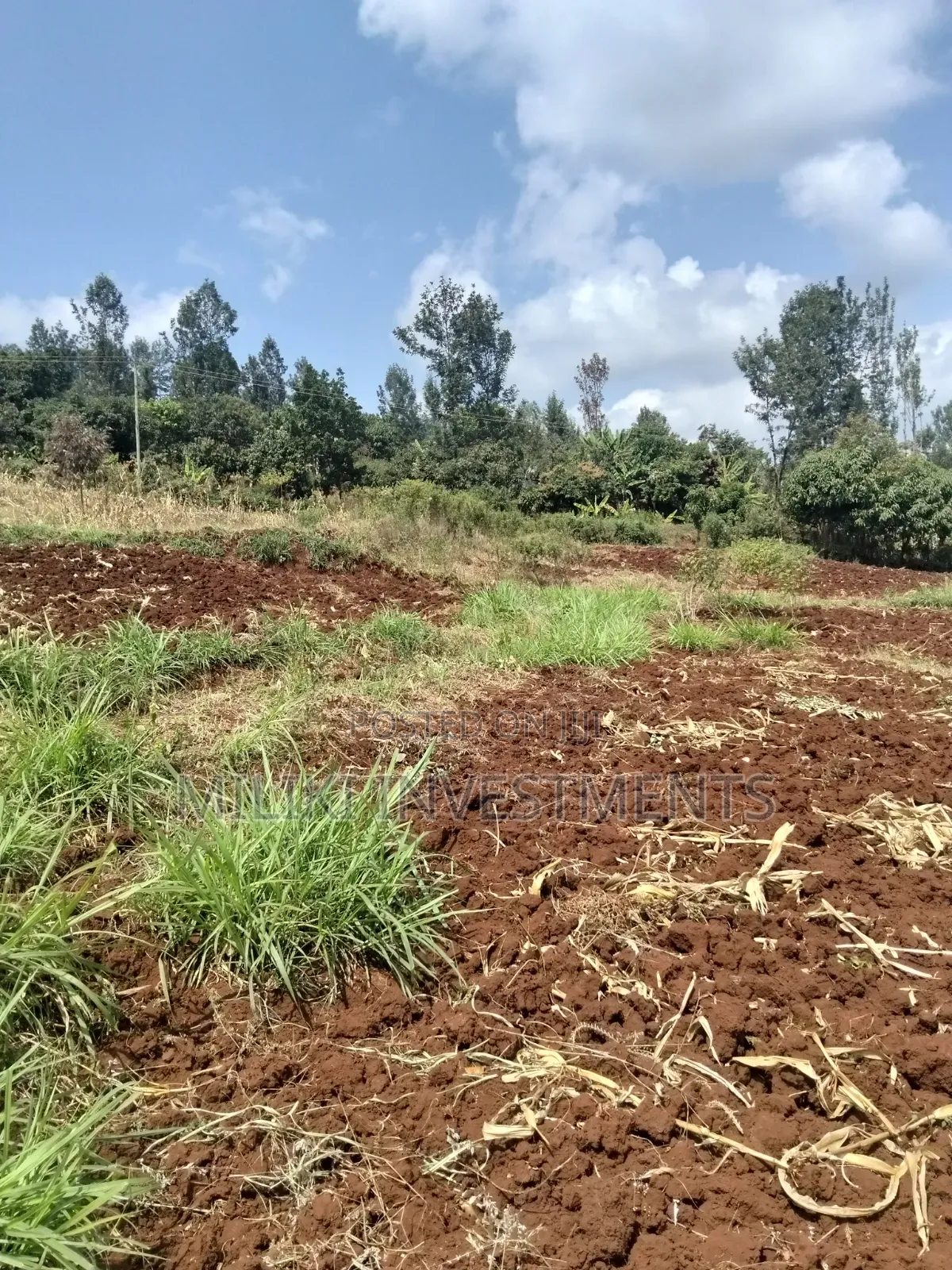 3 Acres on Sale at Murang'a -Sabasaba