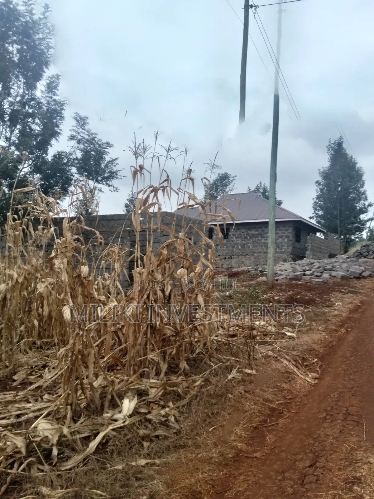 60 by 100 Ft Plot on Sale at Kenol Area-Kagaa -Kahuaini