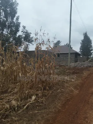 60 by 100 Ft Plot on Sale at Kenol Area-Kagaa -Kahuaini