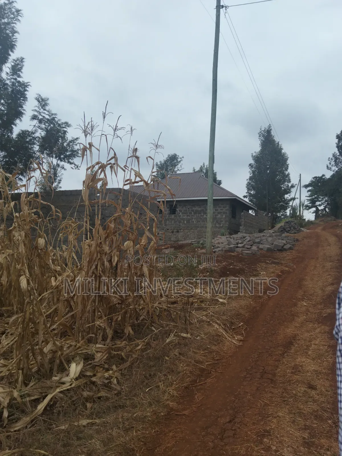 60 by 100 Ft Plot on Sale at Kenol Area-Kagaa -Kahuaini