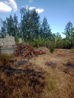 50 by 100 Plot at Sabasaba on Sale+A House