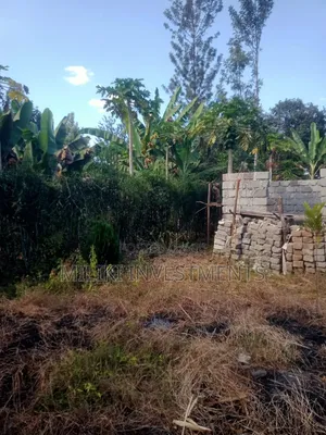50 by 100 Plot at Sabasaba on Sale+A House