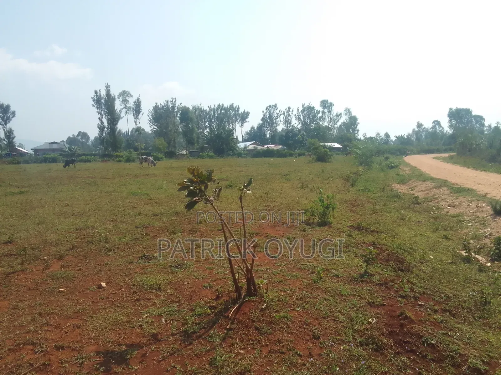 0.35ha for Sale at Kisumu Marera Area