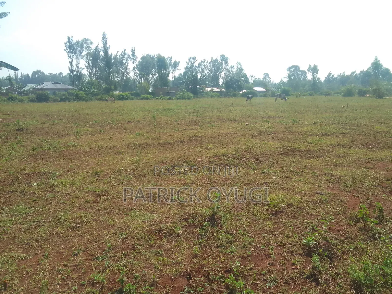 0.35ha for Sale at Kisumu Marera Area