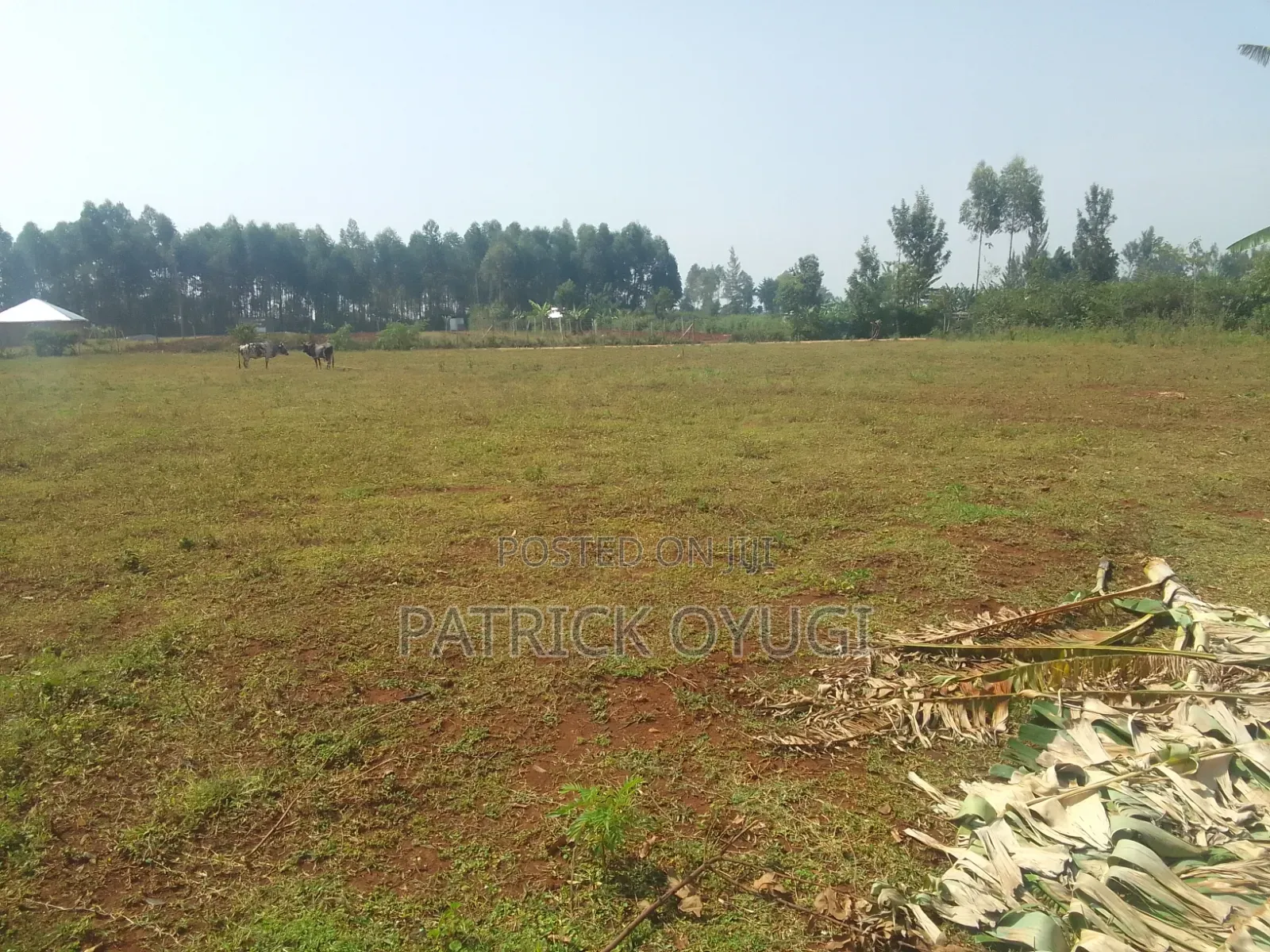 0.35ha for Sale at Kisumu Marera Area