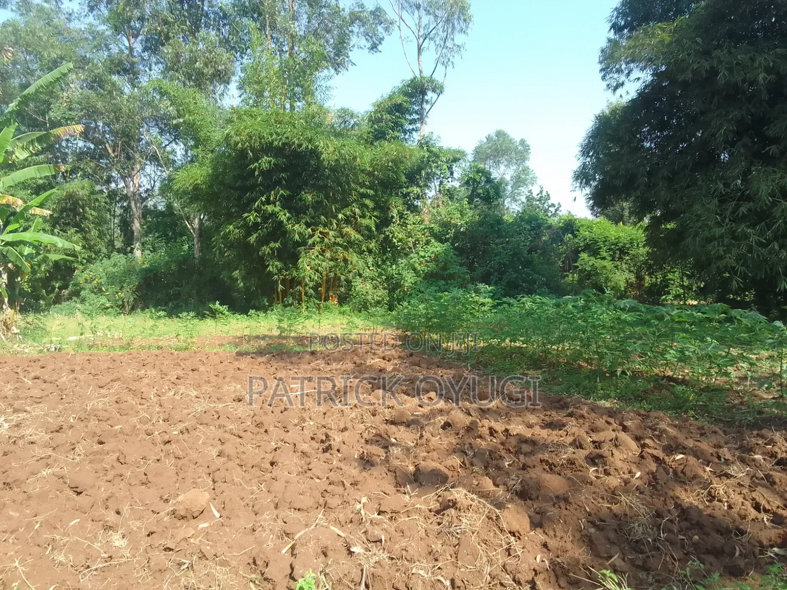 0.15ha at Kisumu Karateng Area for Sale
