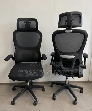 Ergonomic Office Chair With Headrest Adjustable Armrests – Black