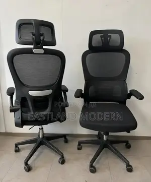 Ergonomic Office Chair With Headrest Adjustable Armrests – Black