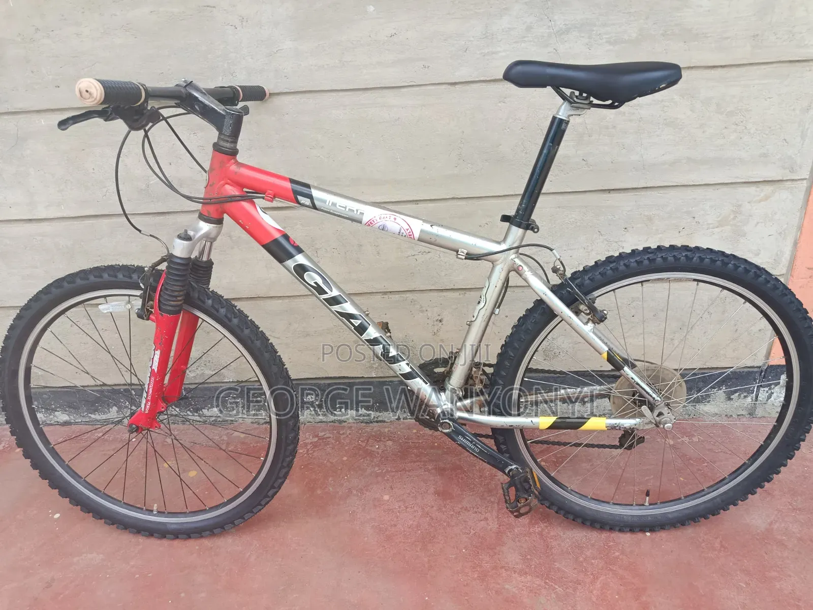 Mountain Bike