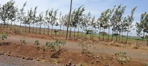 Prime Distress Deal! 58 Acres in Kimana,Oloitoktok Next to Sopa Lodge