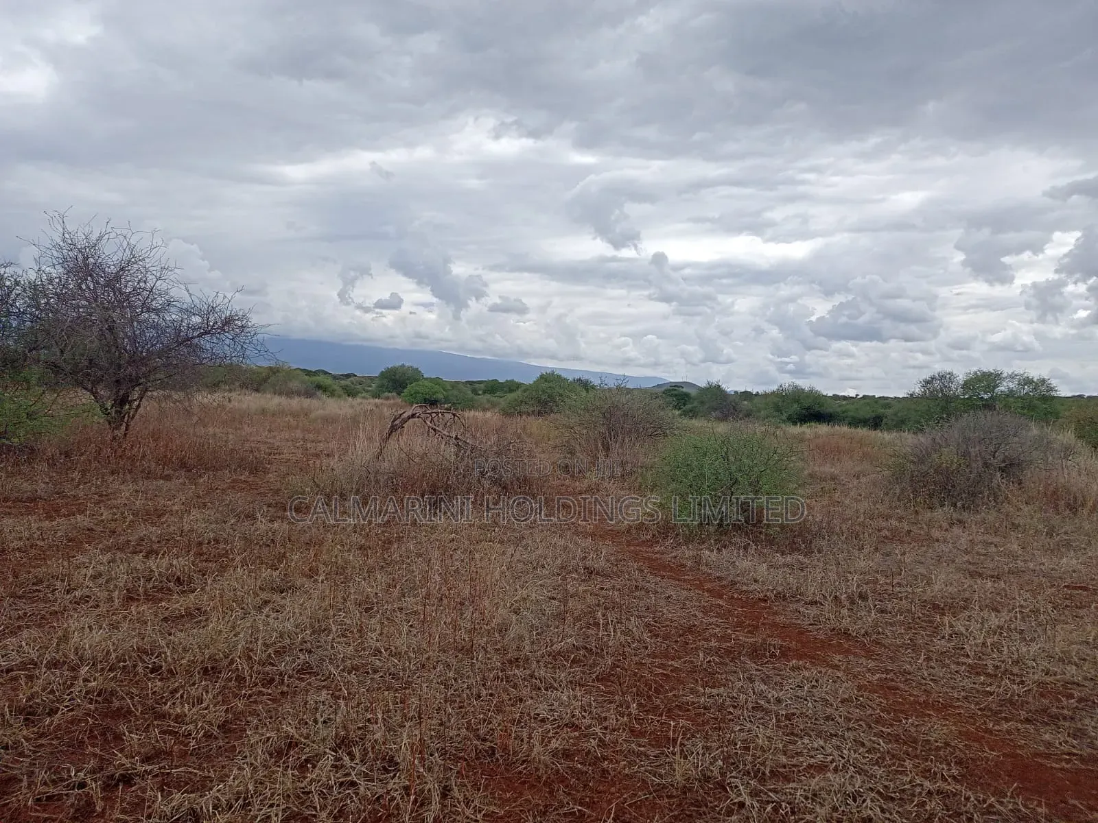 Prime Distress Deal! 58 Acres in Kimana,Oloitoktok Next to Sopa Lodge