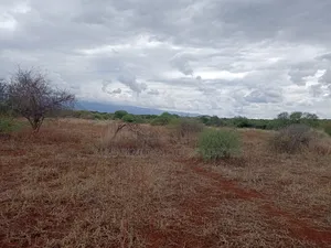 Prime Distress Deal! 58 Acres in Kimana,Oloitoktok Next to Sopa Lodge