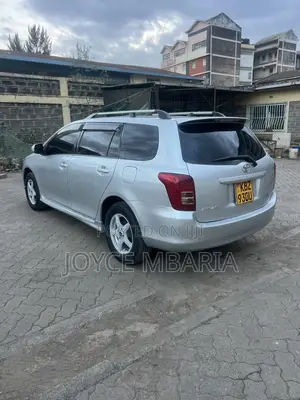 Toyota Corolla Fielder 2009 Silver