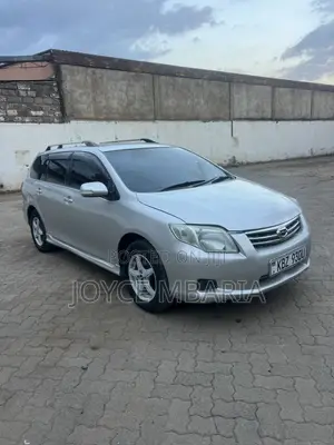Toyota Corolla Fielder 2009 Silver