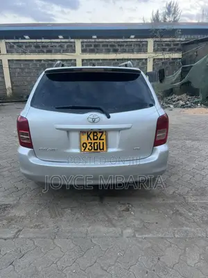 Toyota Corolla Fielder 2009 Silver